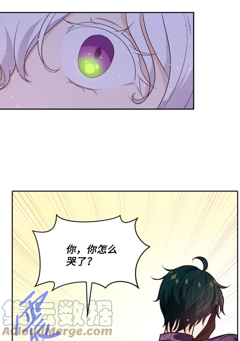 《无法实现的魔女的愿望》73 艾琳的往事 第46页