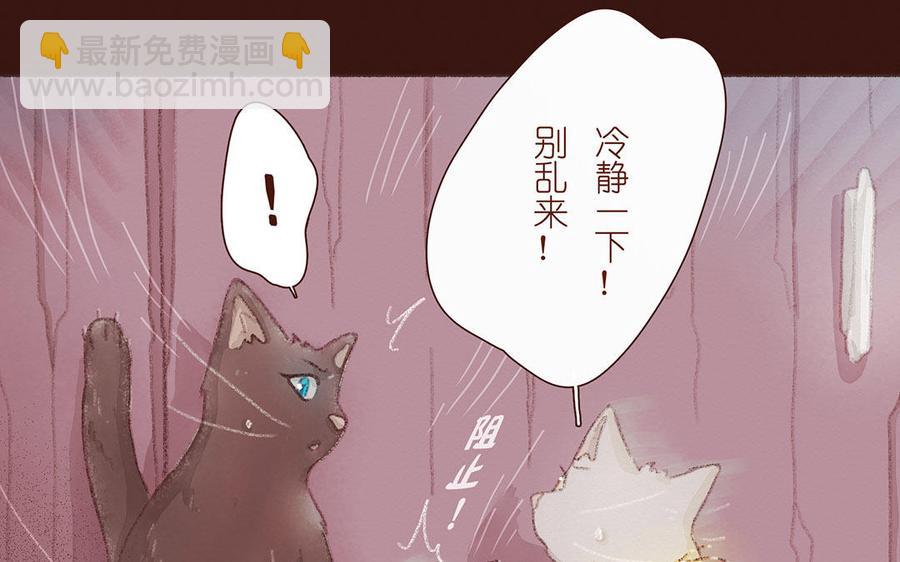 《贝鲁与昂》第55话 一起去救他吧！ 第36页