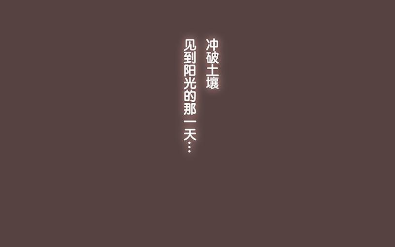 《贝鲁与昂》番外3 缘分 第30页