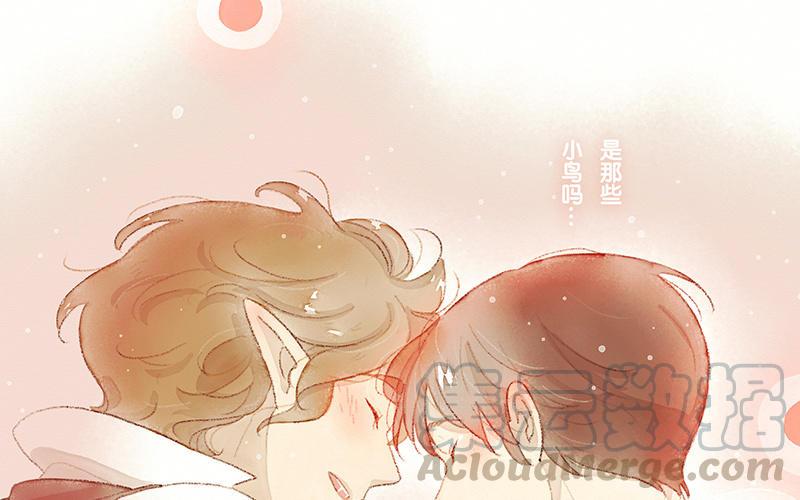 《贝鲁与昂》番外3 缘分 第39页