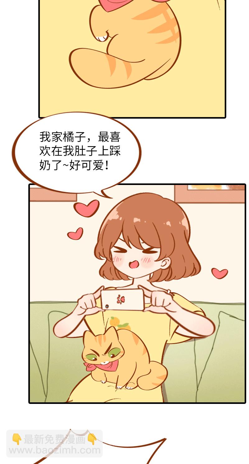 《猫咪的人类饲养指南》第1话肚皮肉大作战 第5页