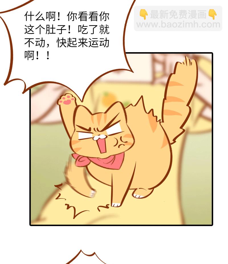 《猫咪的人类饲养指南》第1话肚皮肉大作战 第6页