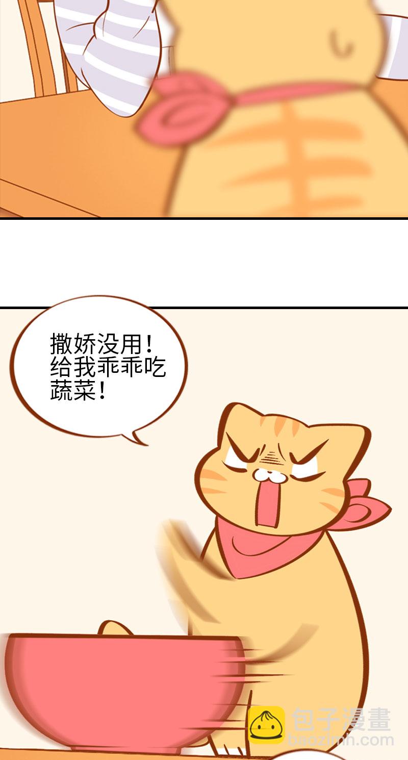 《猫咪的人类饲养指南》第2话 不是我要吃肉是你吃蔬菜 第10页