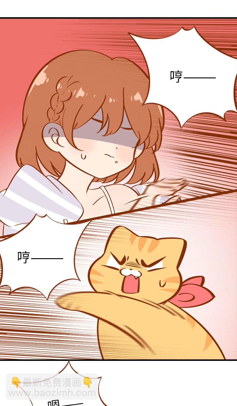《猫咪的人类饲养指南》第2话 不是我要吃肉是你吃蔬菜 第13页