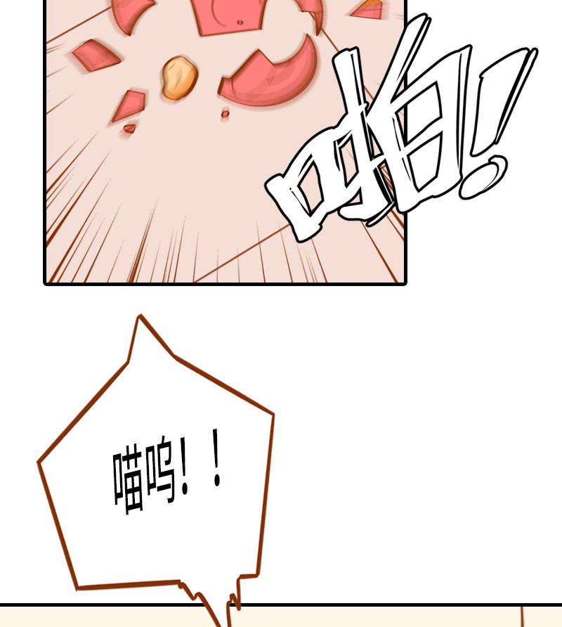《猫咪的人类饲养指南》第2话 不是我要吃肉是你吃蔬菜 第15页