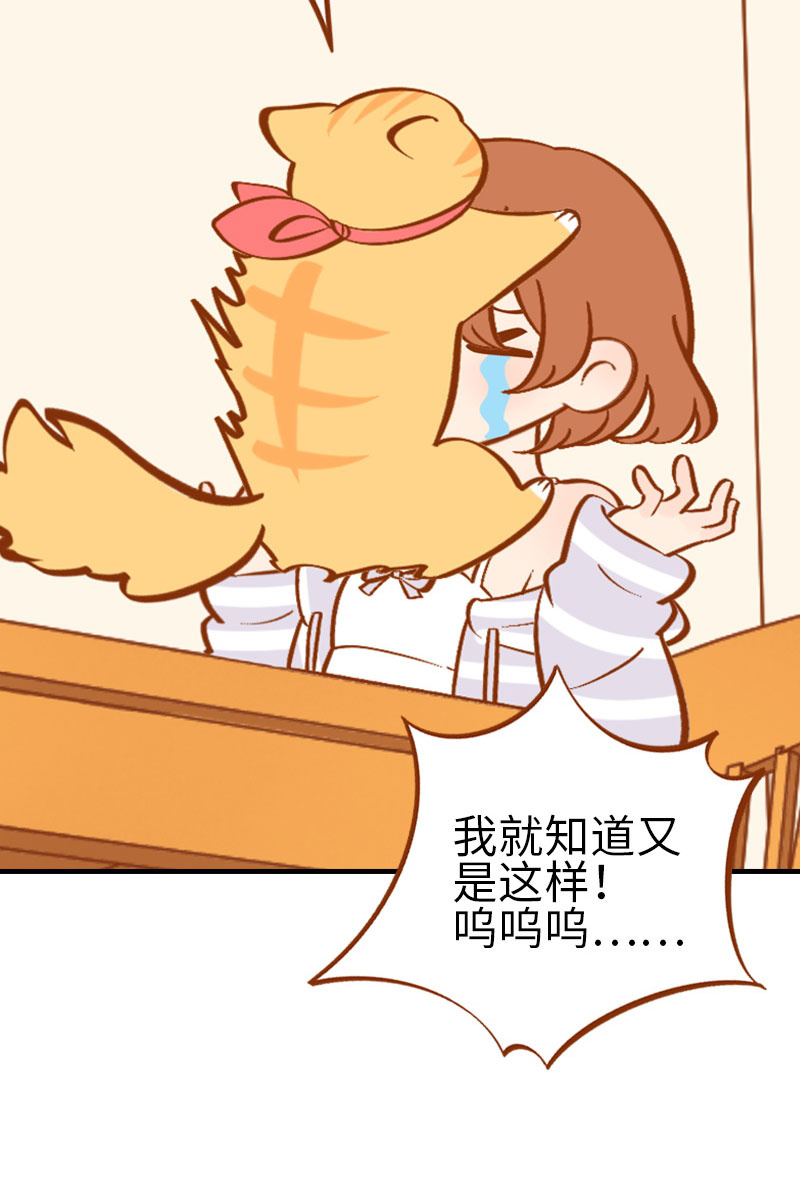 《猫咪的人类饲养指南》第2话 不是我要吃肉是你吃蔬菜 第16页