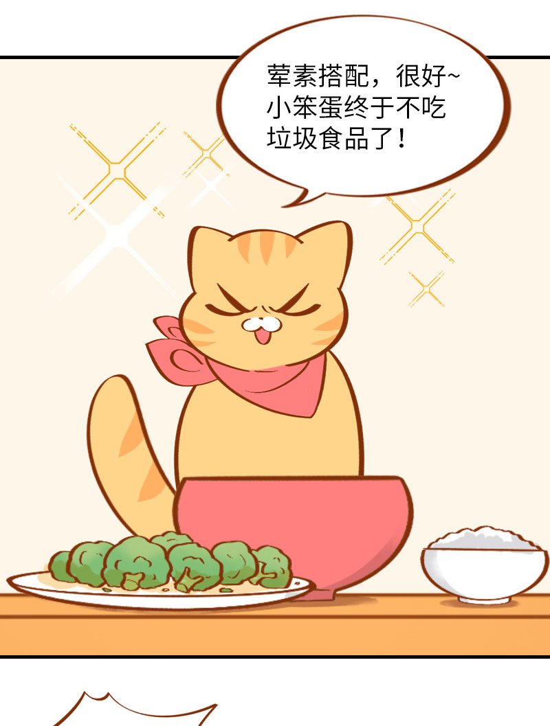 《猫咪的人类饲养指南》第2话 不是我要吃肉是你吃蔬菜 第6页