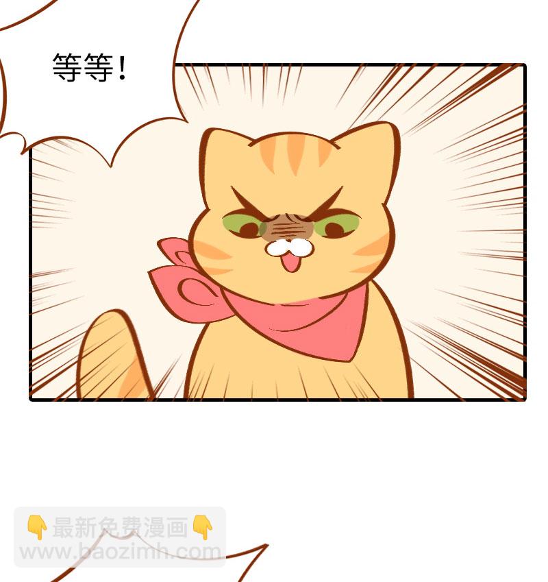 《猫咪的人类饲养指南》第2话 不是我要吃肉是你吃蔬菜 第7页