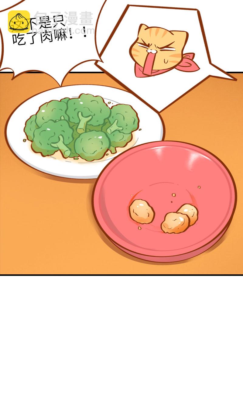 《猫咪的人类饲养指南》第2话 不是我要吃肉是你吃蔬菜 第8页