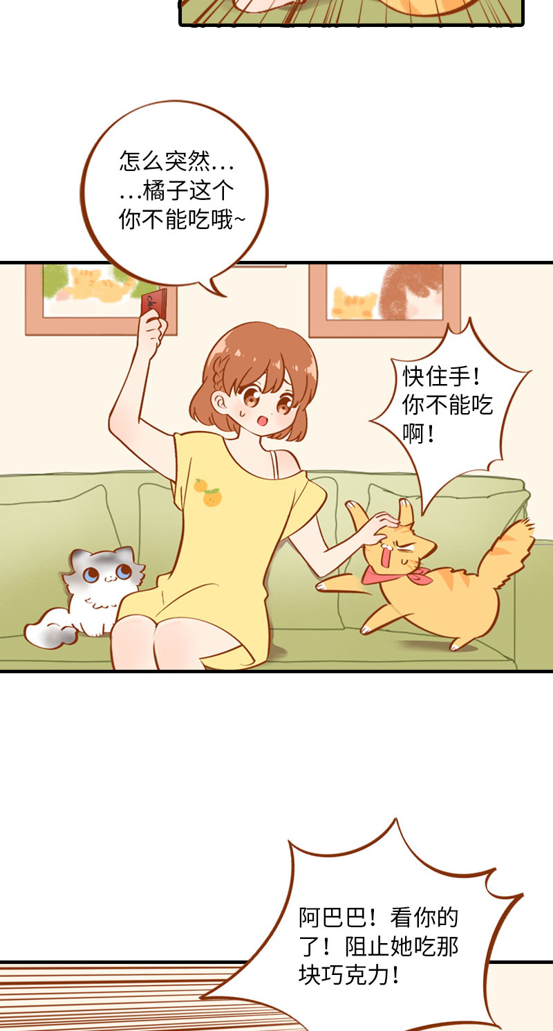 《猫咪的人类饲养指南》第3话 不是我要吃肉是你吃蔬菜 第10页