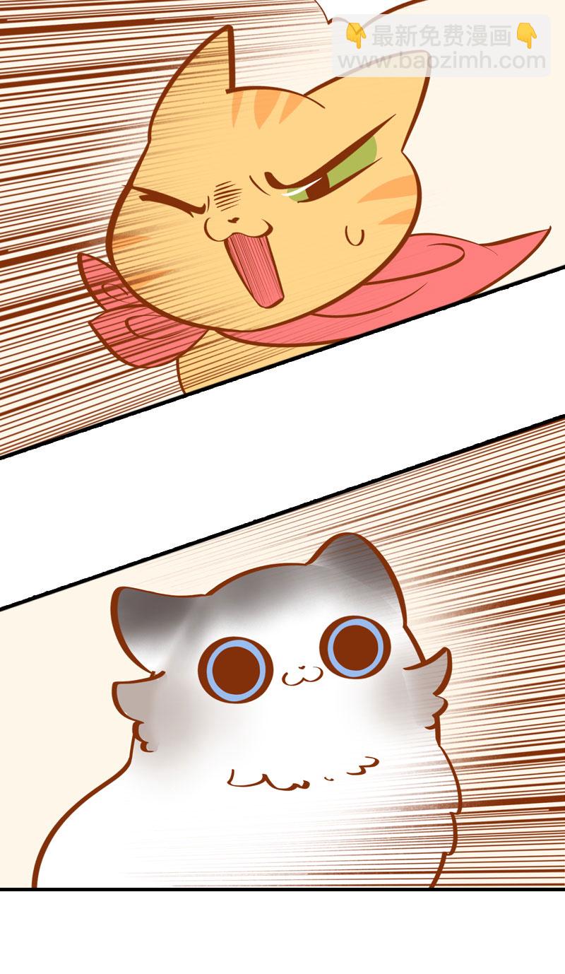 《猫咪的人类饲养指南》第3话 不是我要吃肉是你吃蔬菜 第11页