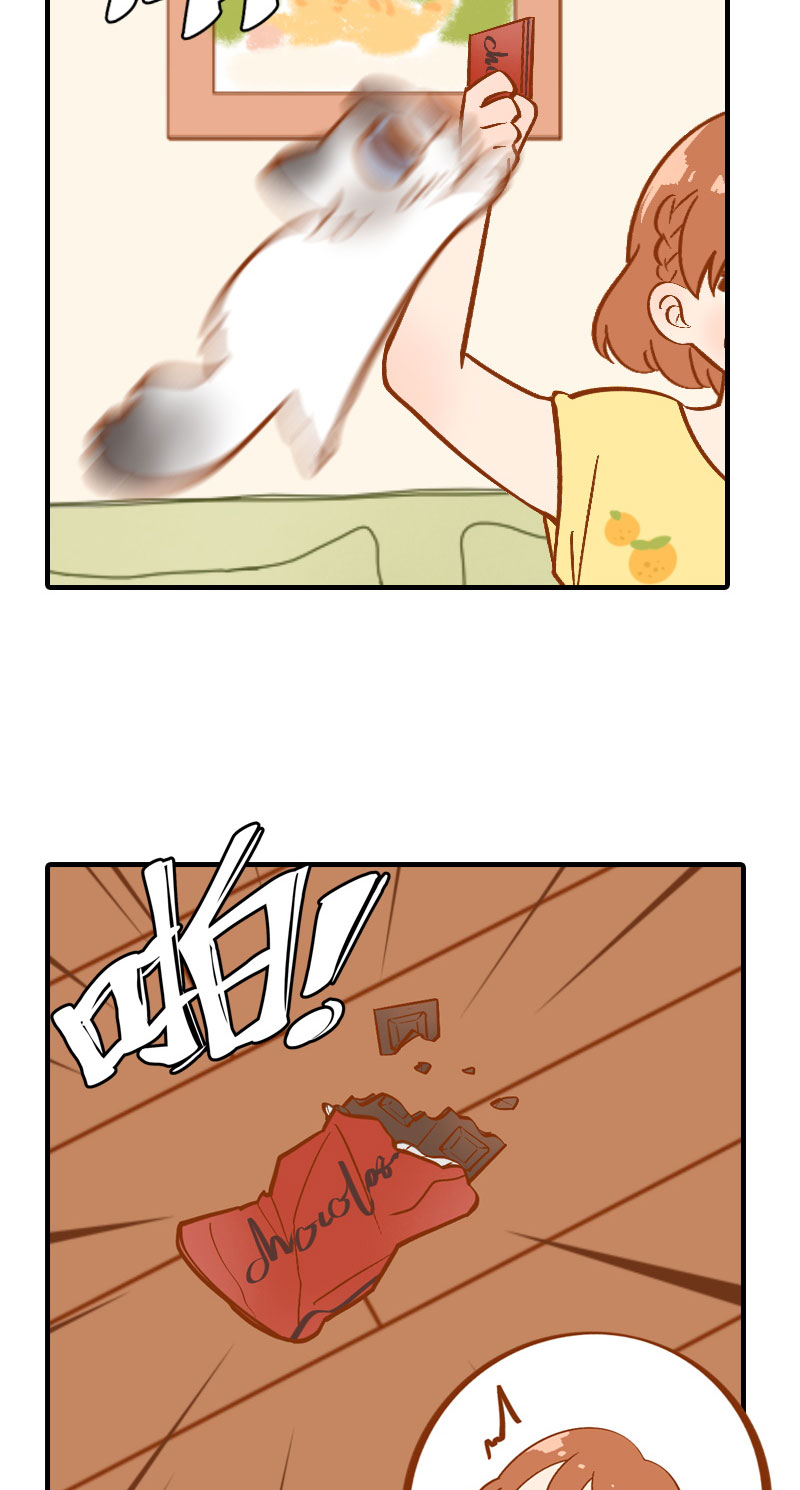《猫咪的人类饲养指南》第3话 不是我要吃肉是你吃蔬菜 第14页
