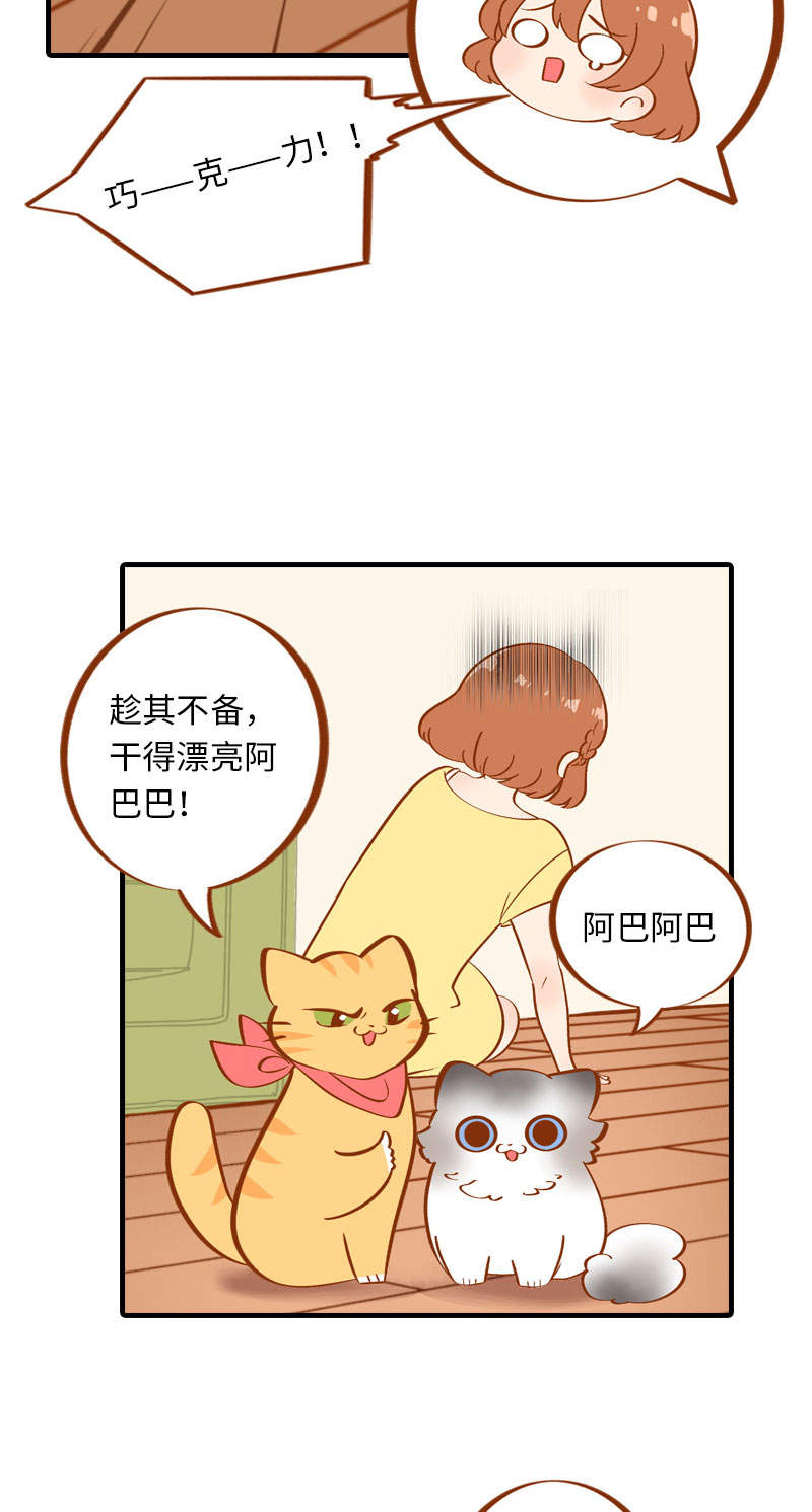 《猫咪的人类饲养指南》第3话 不是我要吃肉是你吃蔬菜 第15页