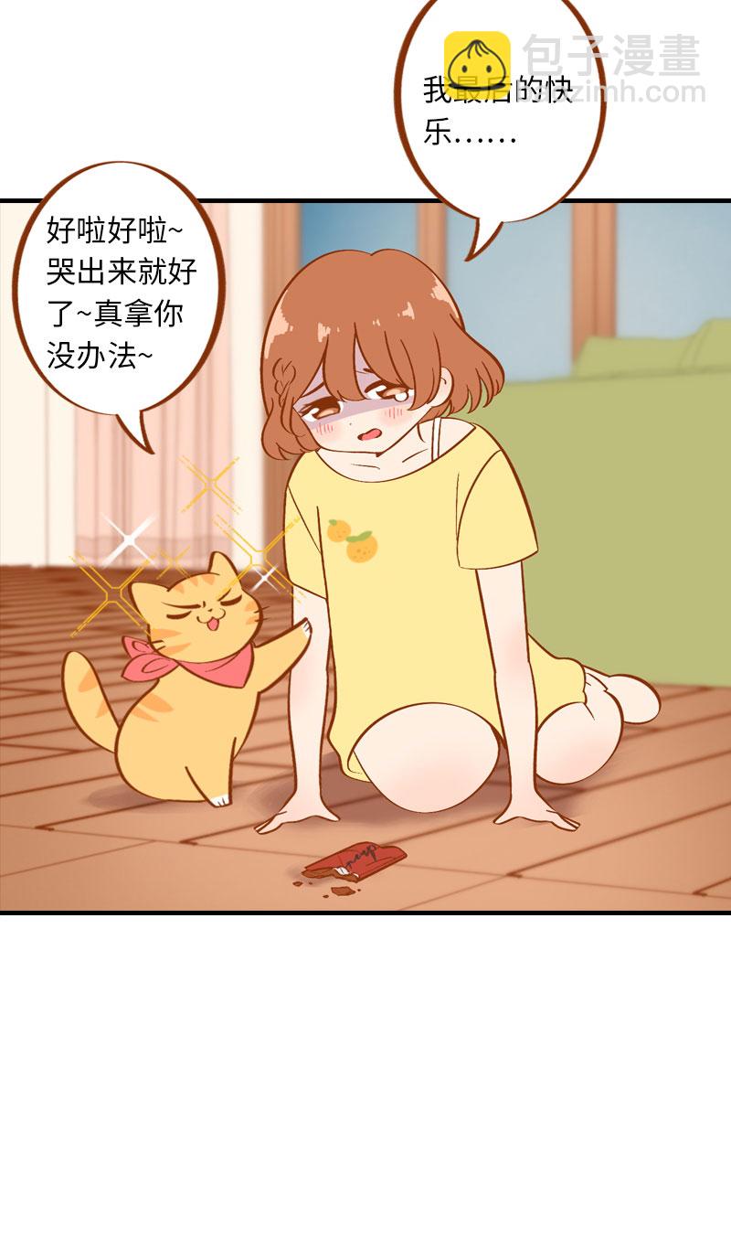 《猫咪的人类饲养指南》第3话 不是我要吃肉是你吃蔬菜 第16页