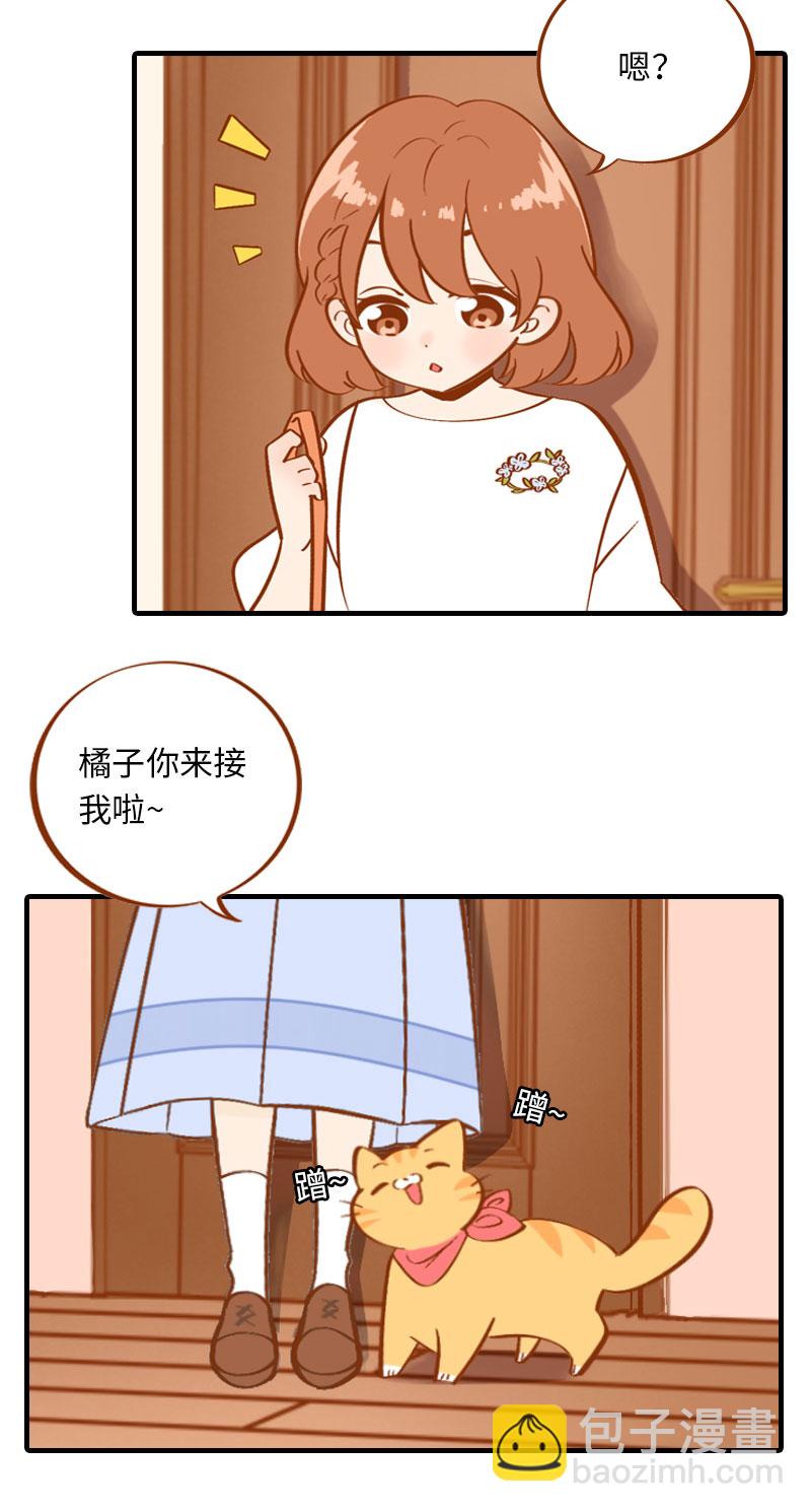 《猫咪的人类饲养指南》第3话 不是我要吃肉是你吃蔬菜 第3页