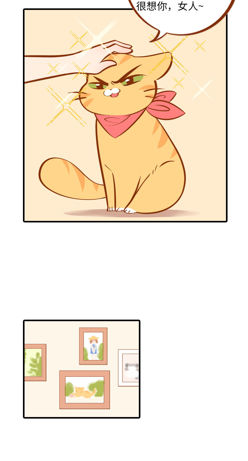 《猫咪的人类饲养指南》第3话 不是我要吃肉是你吃蔬菜 第5页