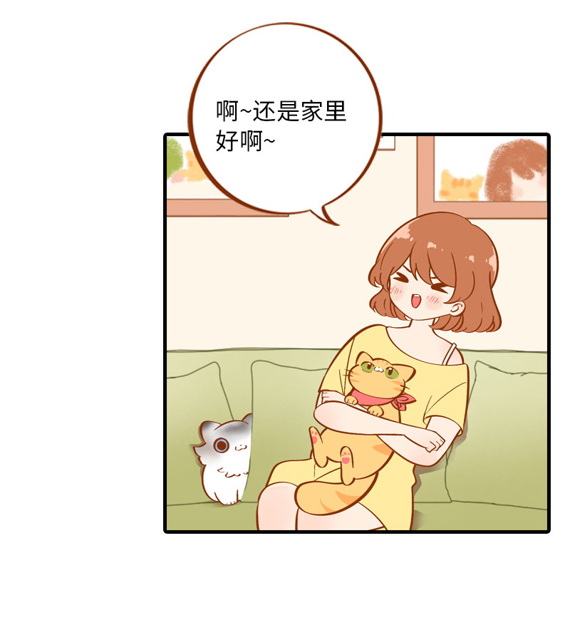 《猫咪的人类饲养指南》第3话 不是我要吃肉是你吃蔬菜 第6页