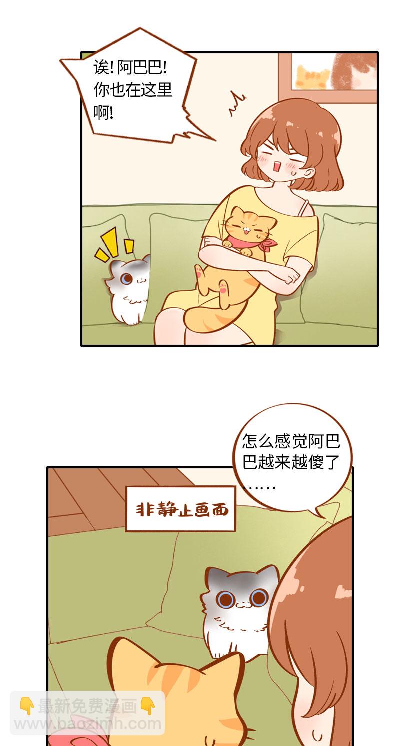《猫咪的人类饲养指南》第3话 不是我要吃肉是你吃蔬菜 第7页