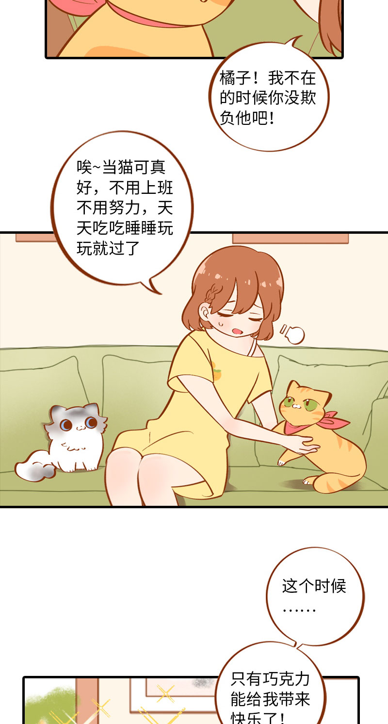 《猫咪的人类饲养指南》第3话 不是我要吃肉是你吃蔬菜 第8页