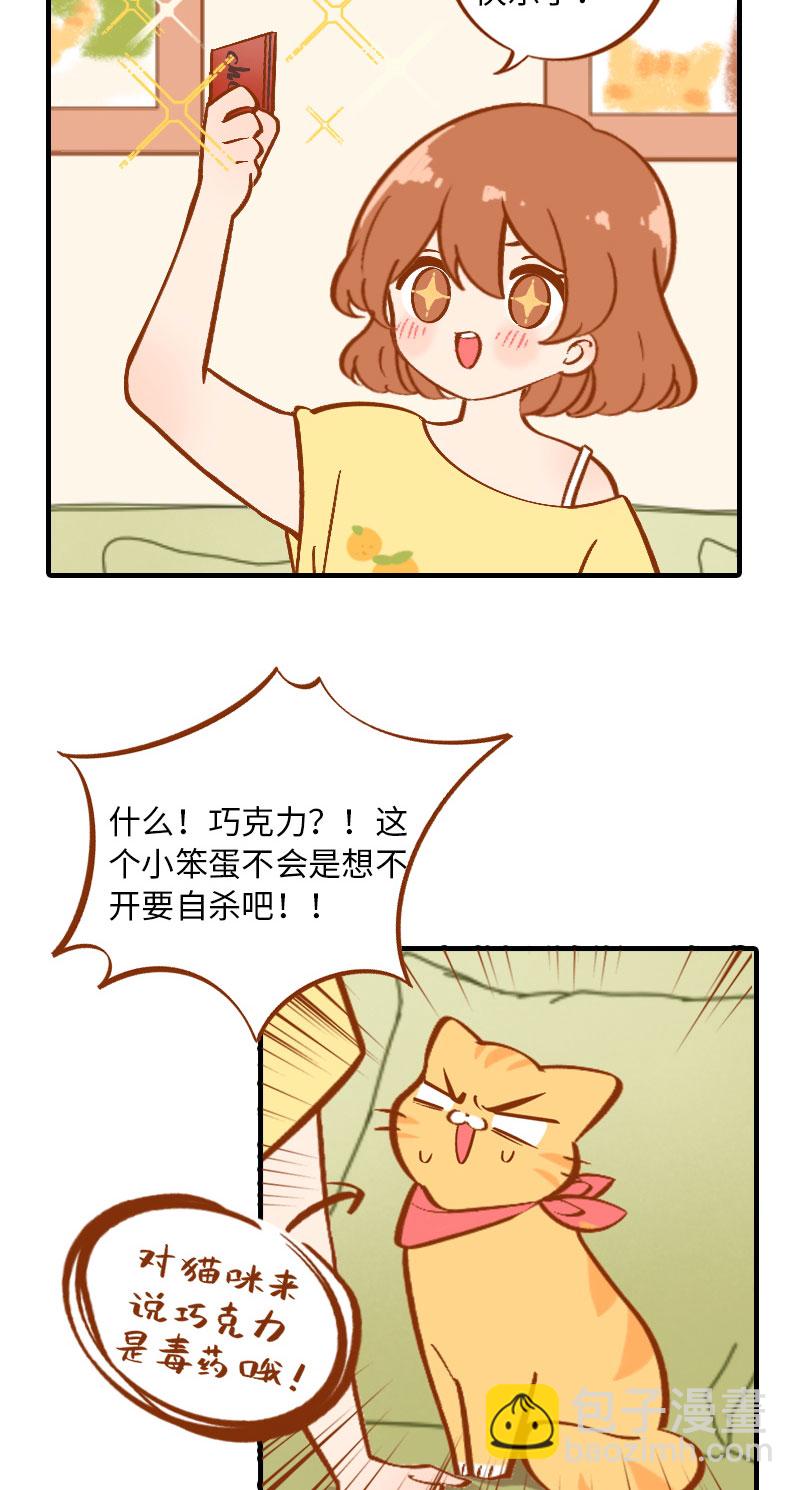 《猫咪的人类饲养指南》第3话 不是我要吃肉是你吃蔬菜 第9页