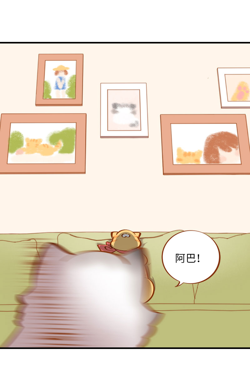 《猫咪的人类饲养指南》第7话 你认错了吗？ 第3页