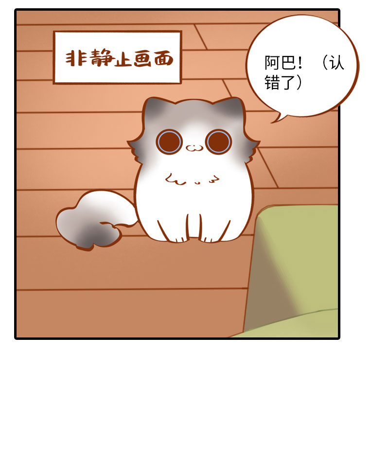 《猫咪的人类饲养指南》第7话 你认错了吗？ 第6页