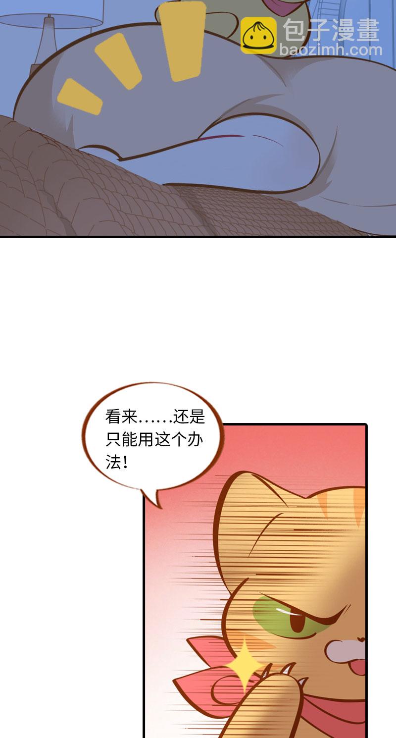 《猫咪的人类饲养指南》第5话夜晚小动作 第10页