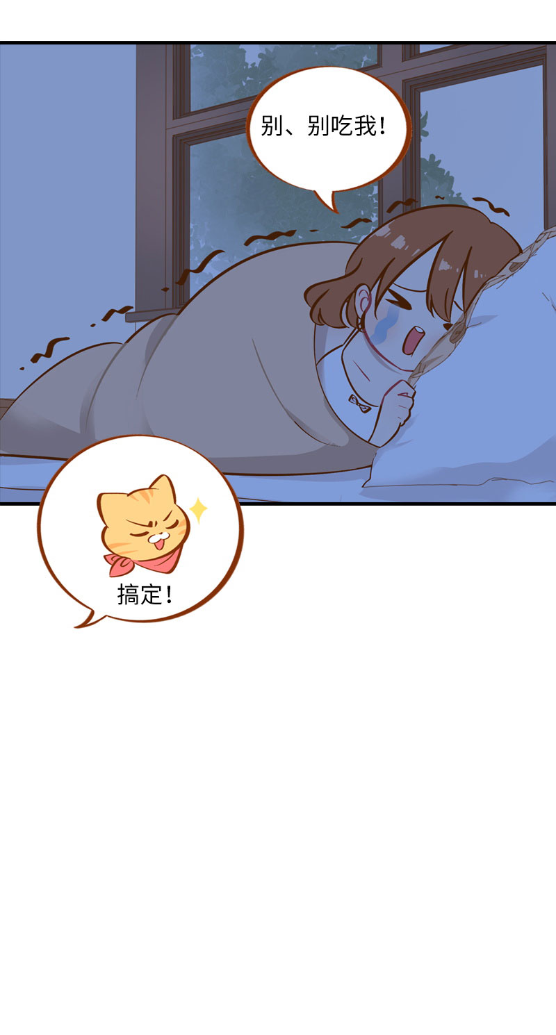 《猫咪的人类饲养指南》第5话夜晚小动作 第13页