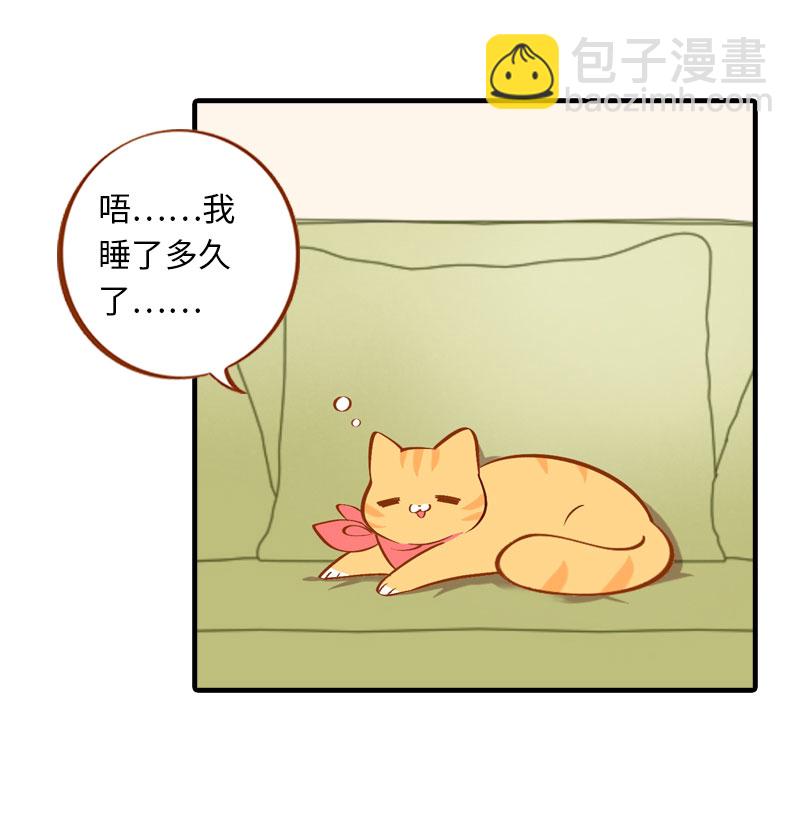 《猫咪的人类饲养指南》第6话 Tony橘开始洗头 第11页