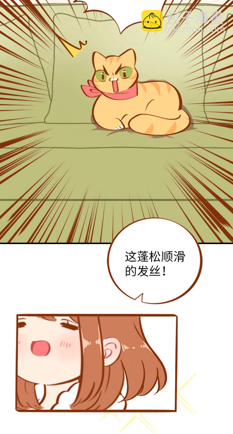 《猫咪的人类饲养指南》第6话 Tony橘开始洗头 第13页