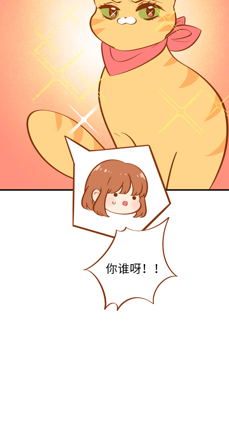 《猫咪的人类饲养指南》第6话 Tony橘开始洗头 第15页