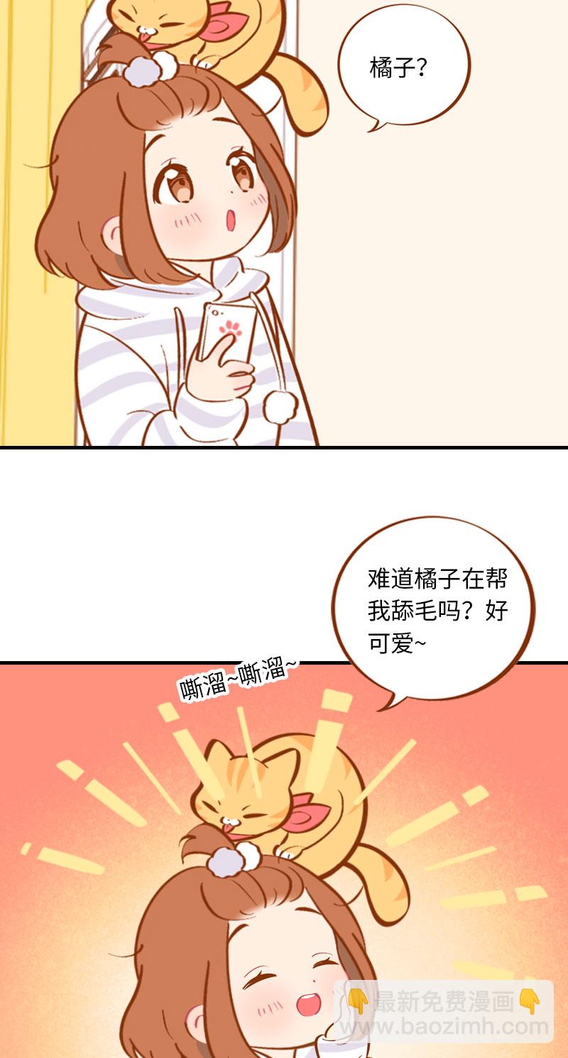 《猫咪的人类饲养指南》第6话 Tony橘开始洗头 第8页