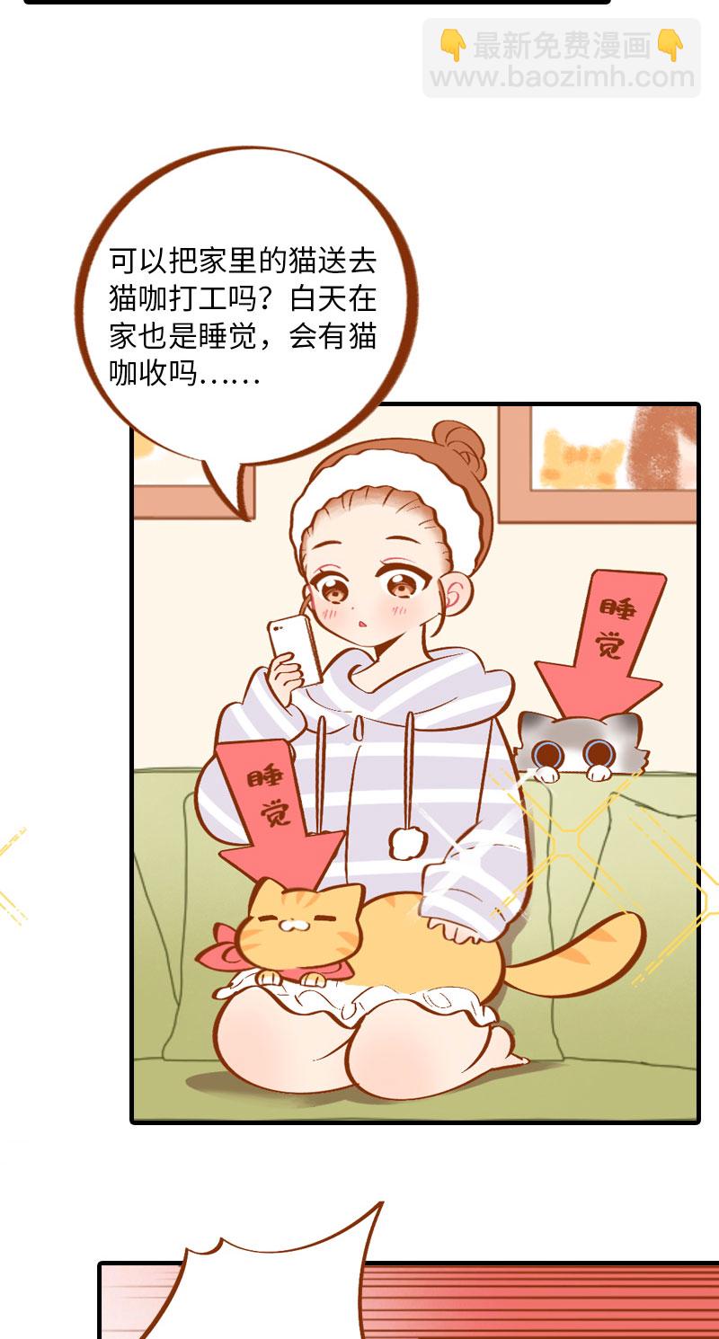 《猫咪的人类饲养指南》第4话 差点去猫咖打工 第3页