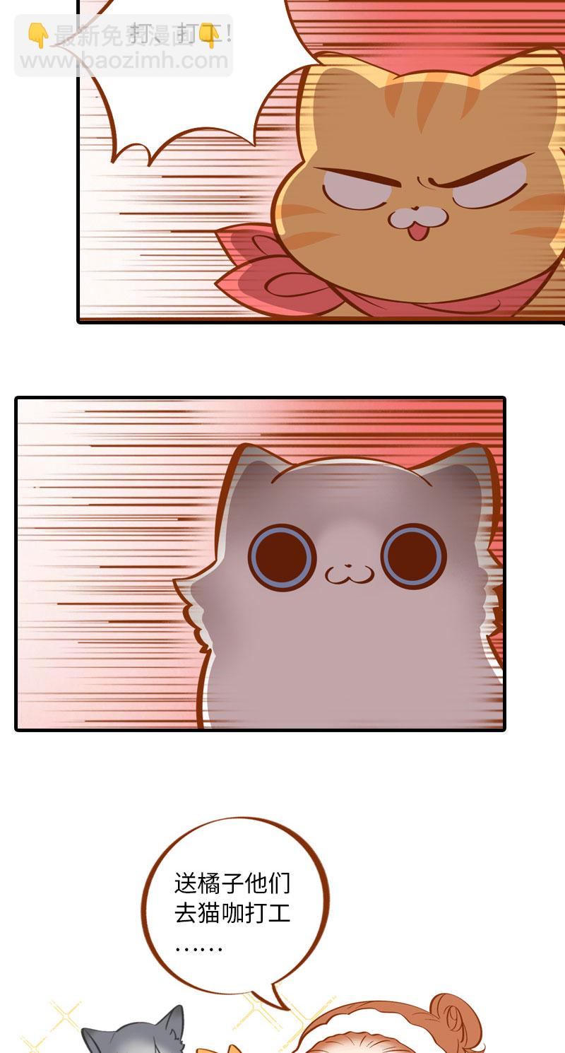 《猫咪的人类饲养指南》第4话 差点去猫咖打工 第4页