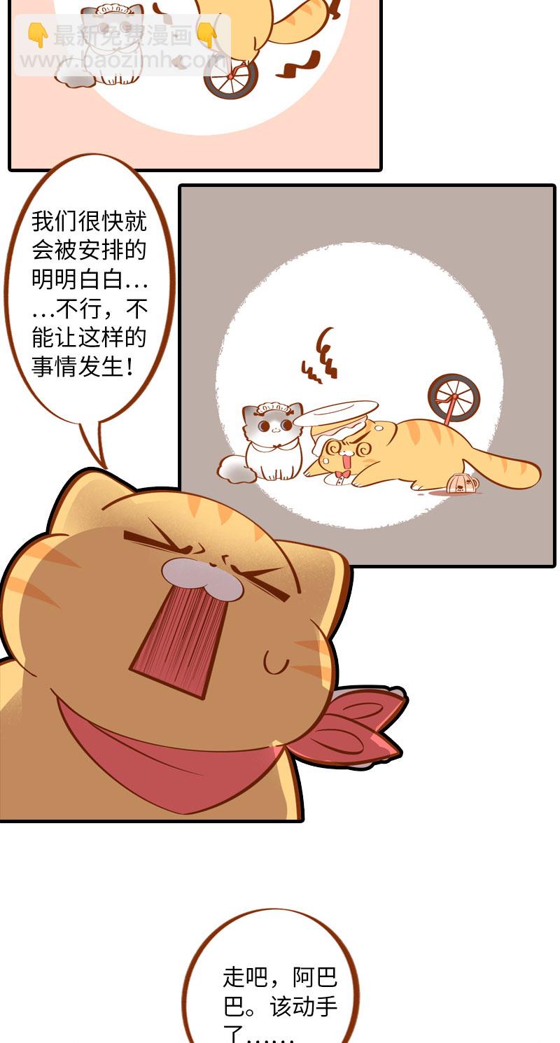 《猫咪的人类饲养指南》第4话 差点去猫咖打工 第8页