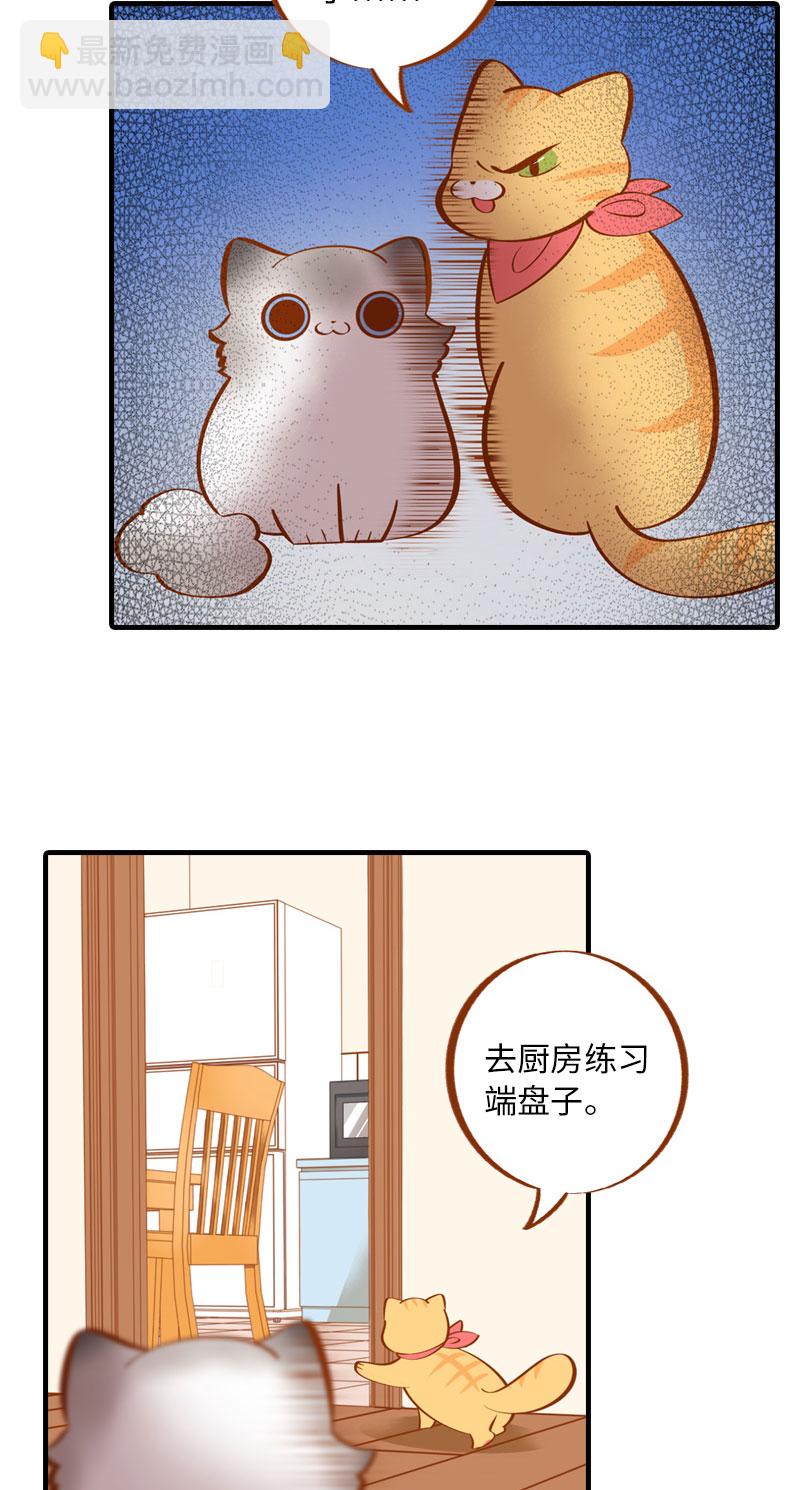 《猫咪的人类饲养指南》第4话 差点去猫咖打工 第9页