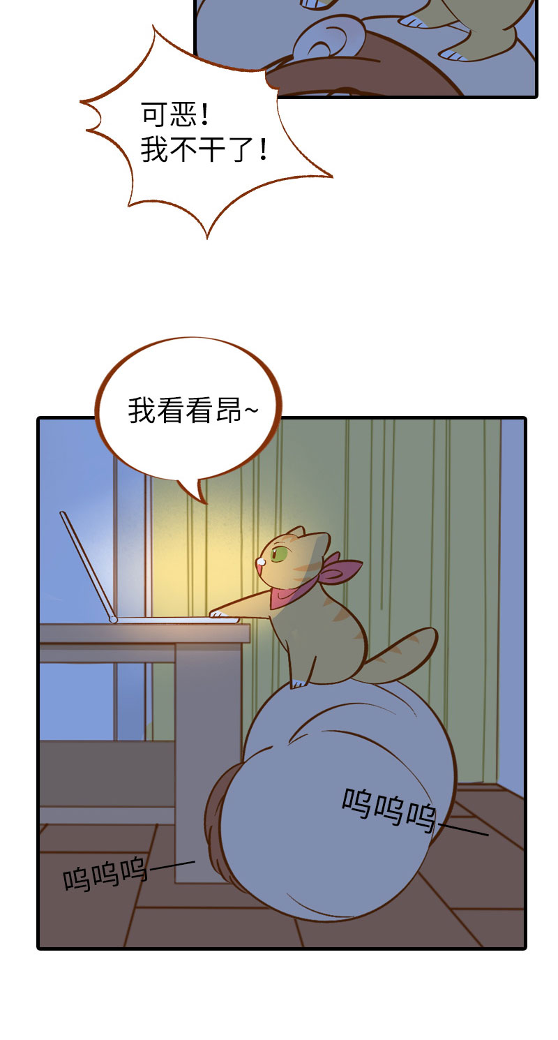 《猫咪的人类饲养指南》第9话 橘子甲方克星 第5页