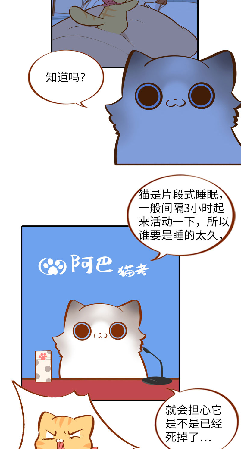 《猫咪的人类饲养指南》第11话 太好了你还活着！ 第10页