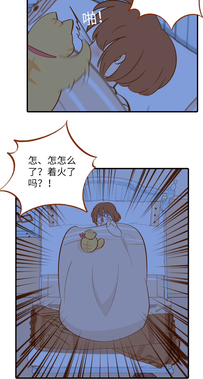《猫咪的人类饲养指南》第11话 太好了你还活着！ 第3页
