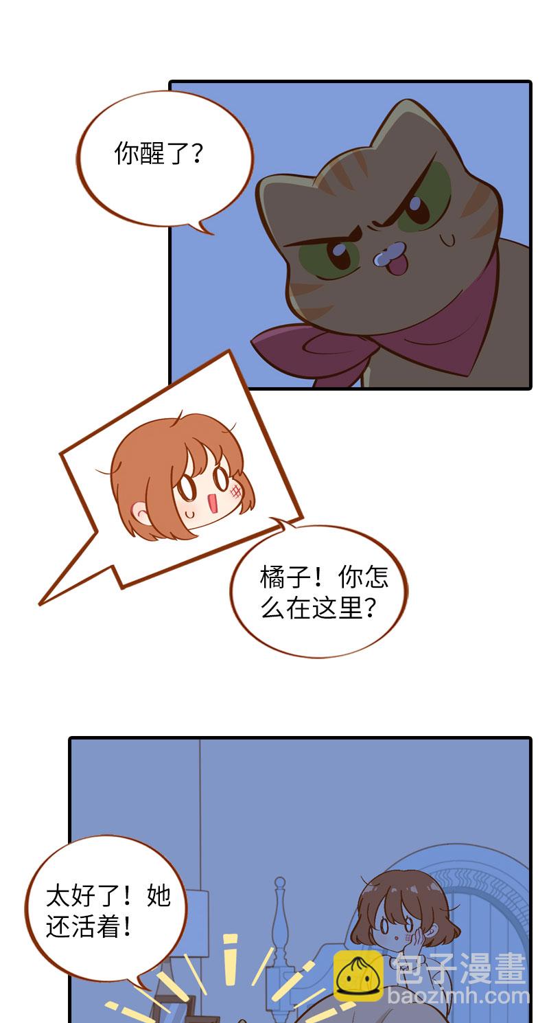 《猫咪的人类饲养指南》第11话 太好了你还活着！ 第4页