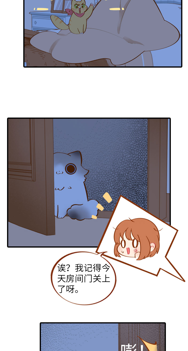 《猫咪的人类饲养指南》第11话 太好了你还活着！ 第5页
