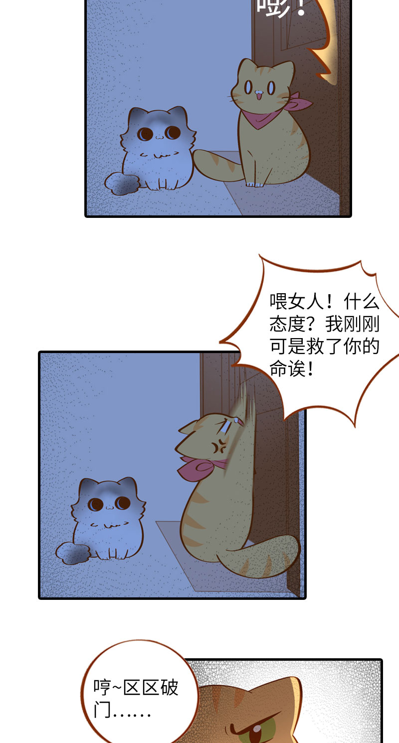 《猫咪的人类饲养指南》第11话 太好了你还活着！ 第6页