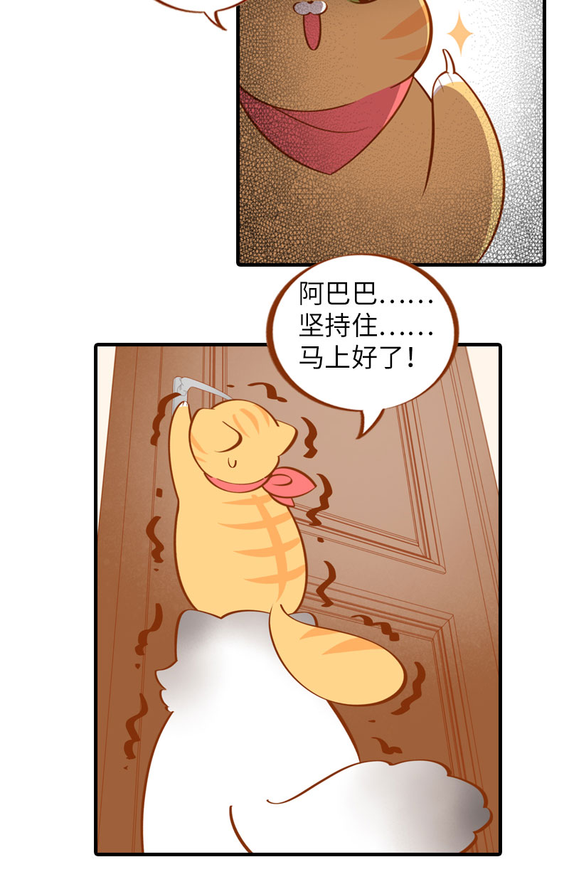 《猫咪的人类饲养指南》第11话 太好了你还活着！ 第7页