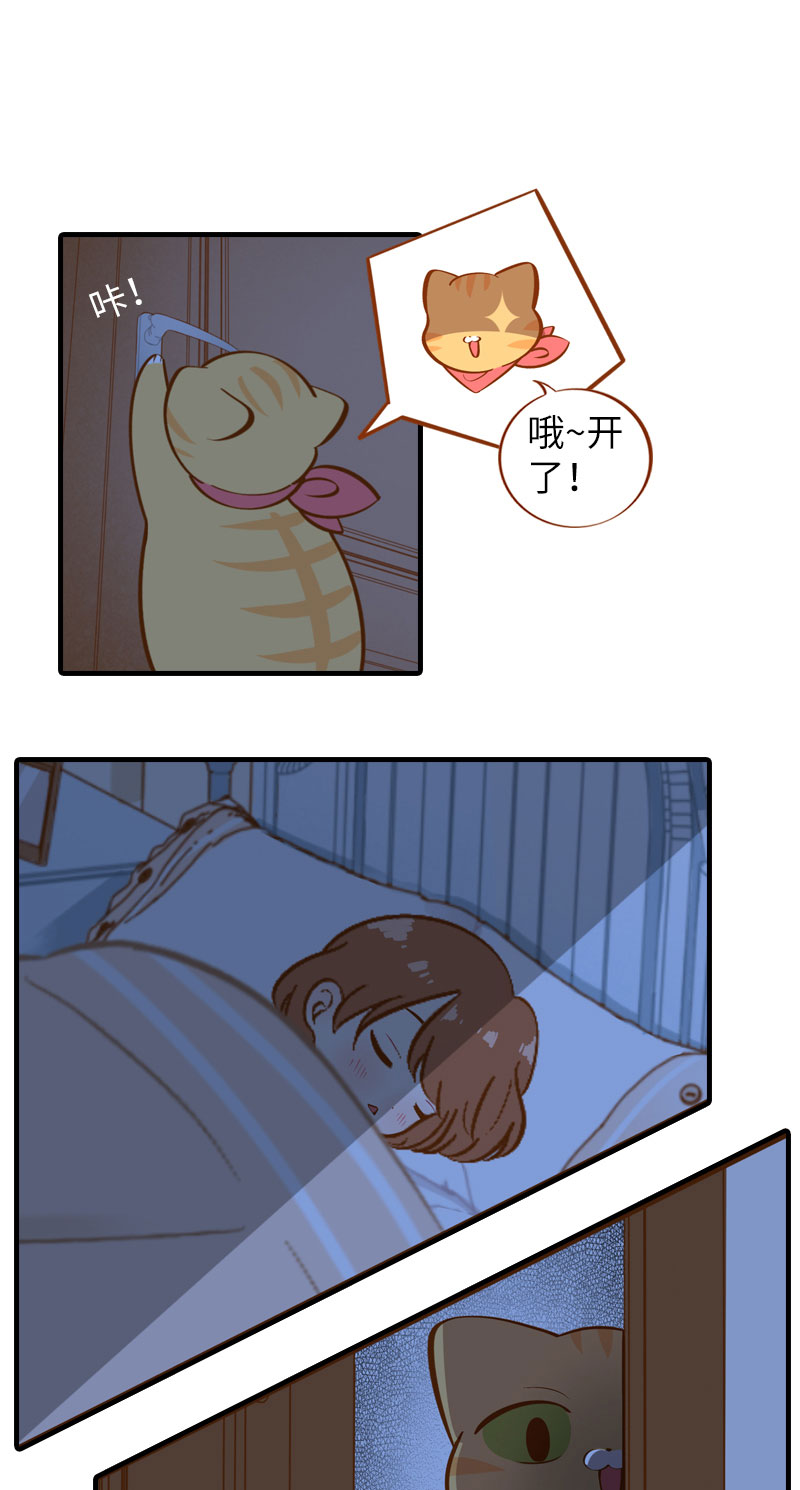 《猫咪的人类饲养指南》第11话 太好了你还活着！ 第8页