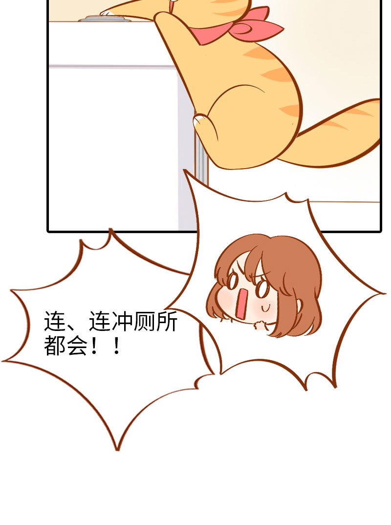 《猫咪的人类饲养指南》第8话 爱她就要为她学会用马桶 第13页