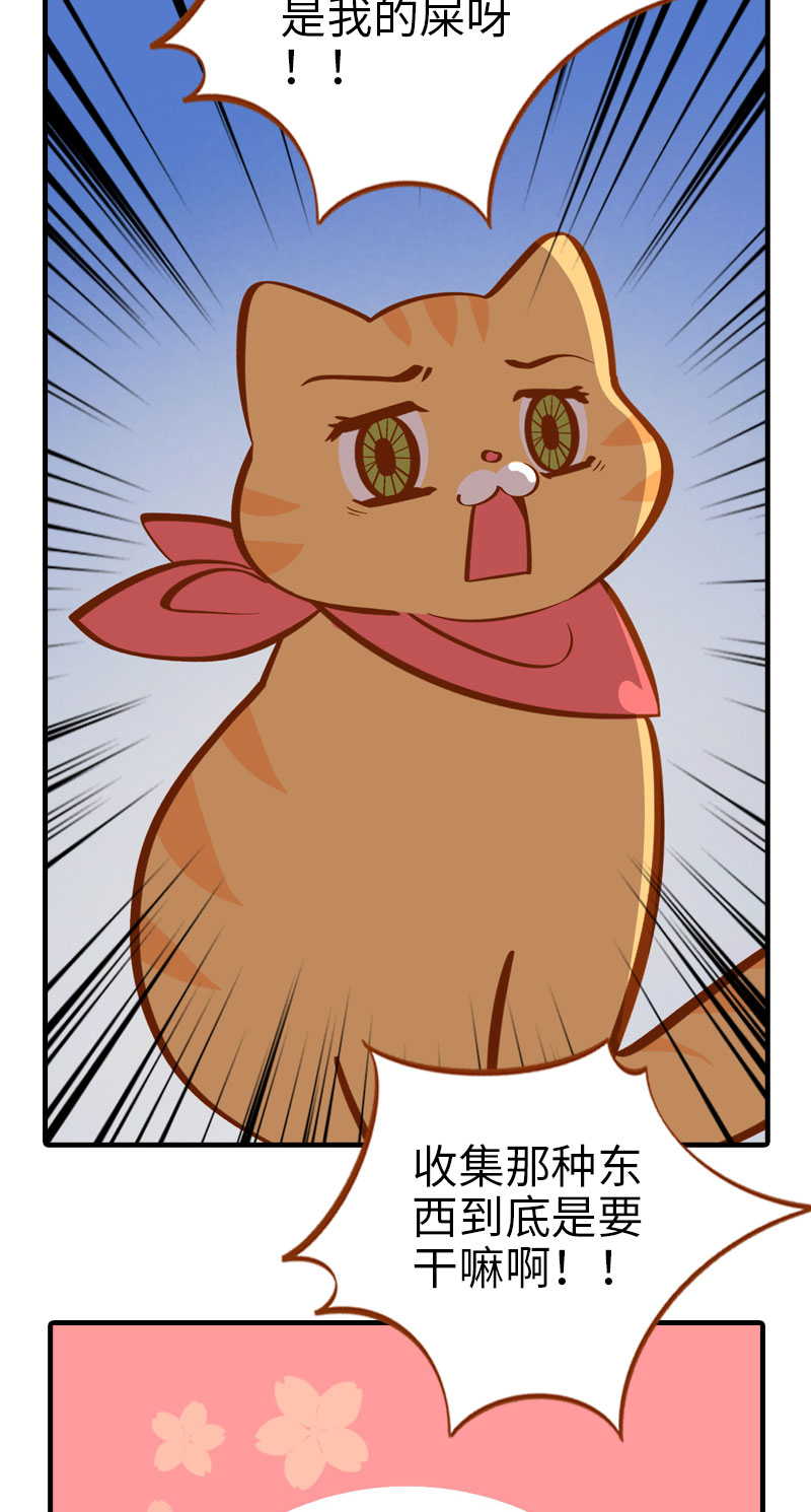 《猫咪的人类饲养指南》第8话 爱她就要为她学会用马桶 第4页