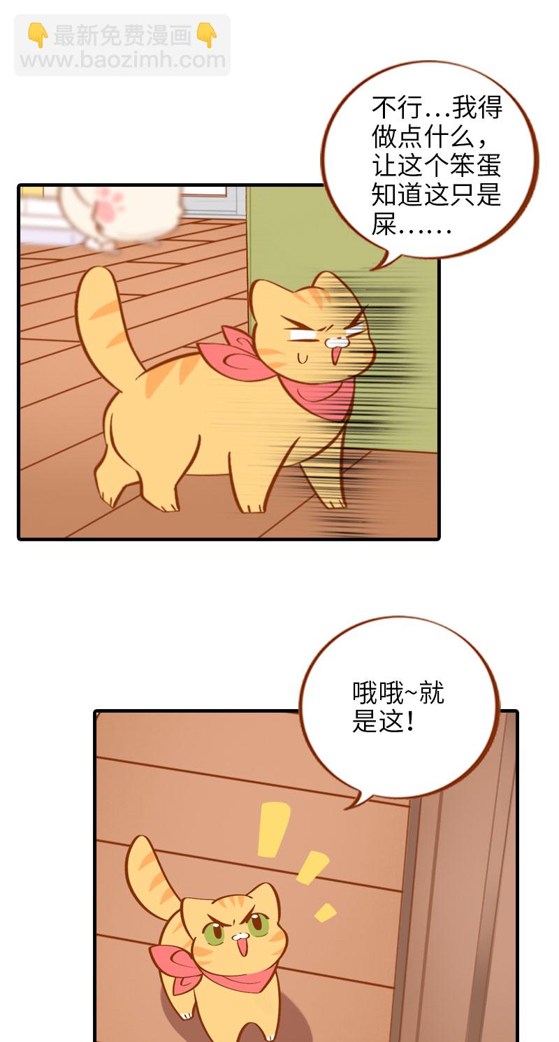 《猫咪的人类饲养指南》第8话 爱她就要为她学会用马桶 第8页