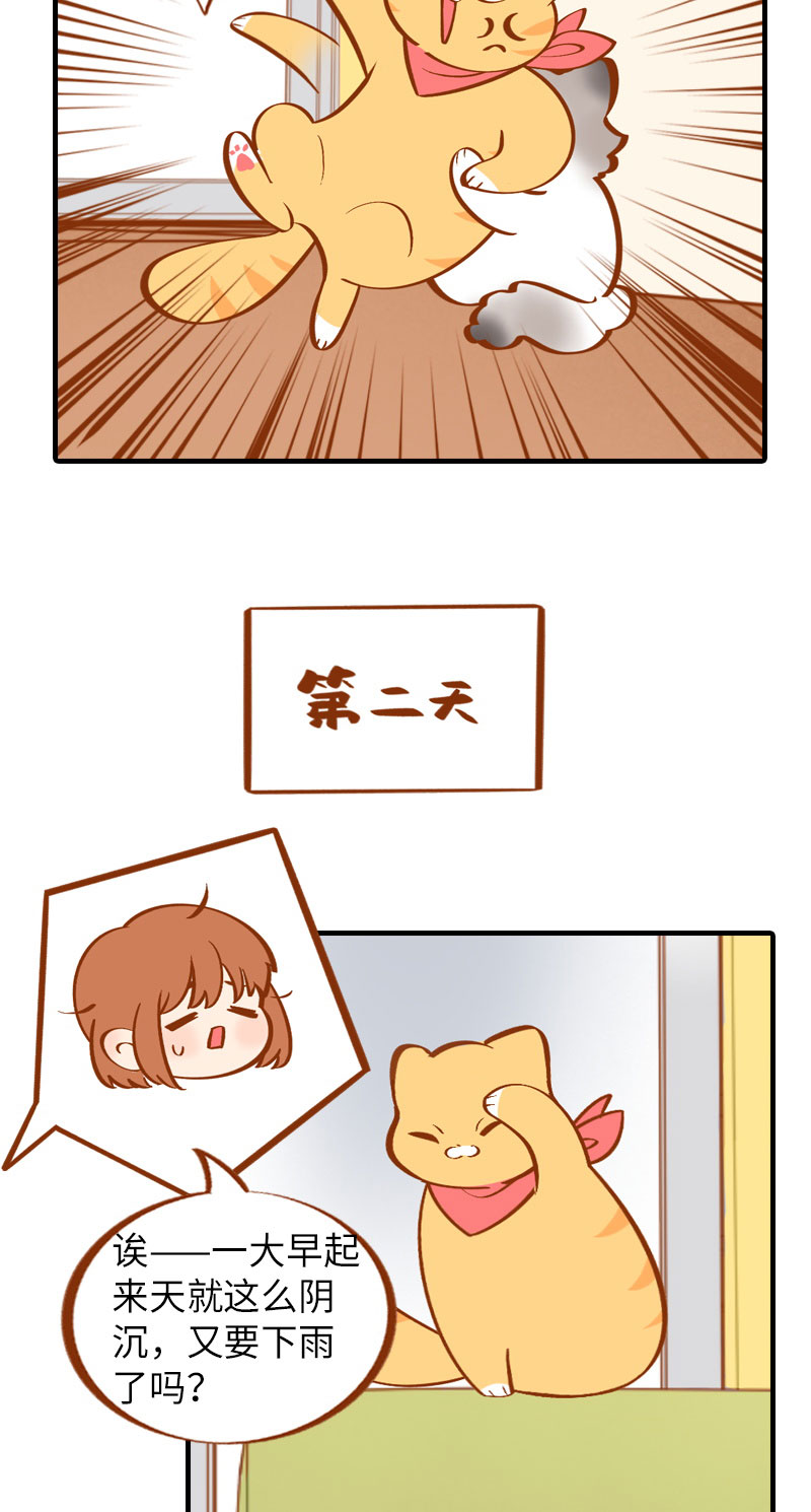 《猫咪的人类饲养指南》第10话 名侦探橘子 第12页