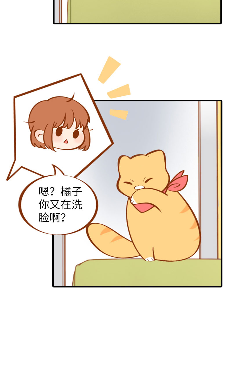 《猫咪的人类饲养指南》第10话 名侦探橘子 第13页
