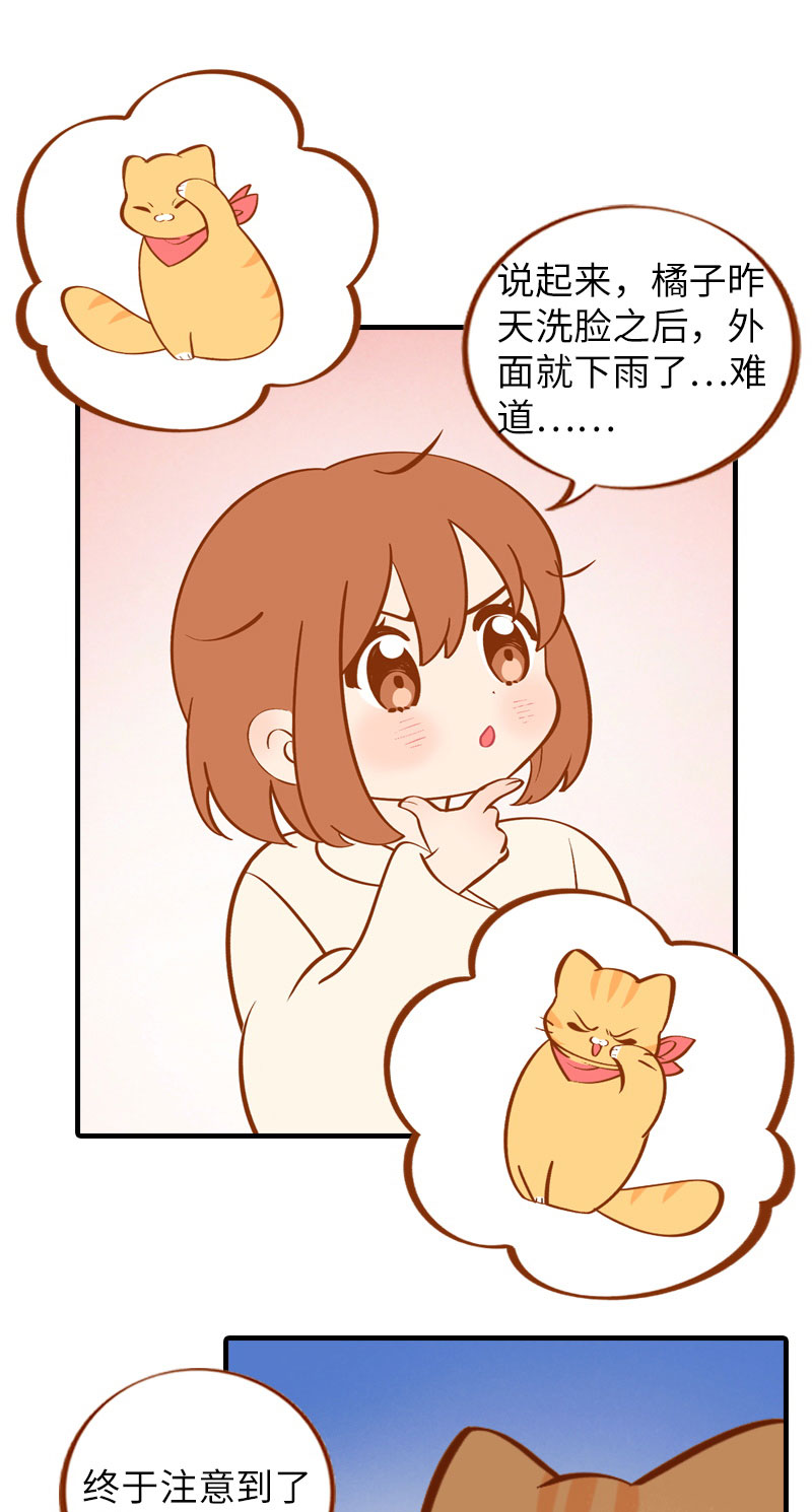 《猫咪的人类饲养指南》第10话 名侦探橘子 第14页